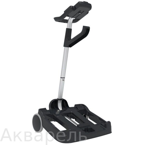 cart_bk_ponting_right-crop_1